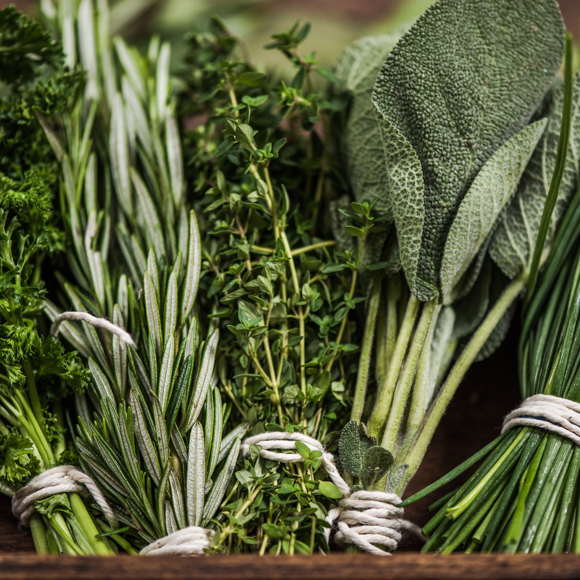 Gesunde Kräuter für mehr Aroma und Vitalität in deiner Küche